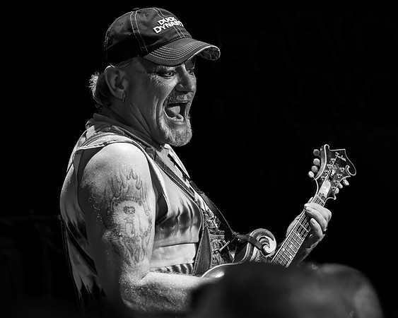 Hayseed Dixie 7 b&w